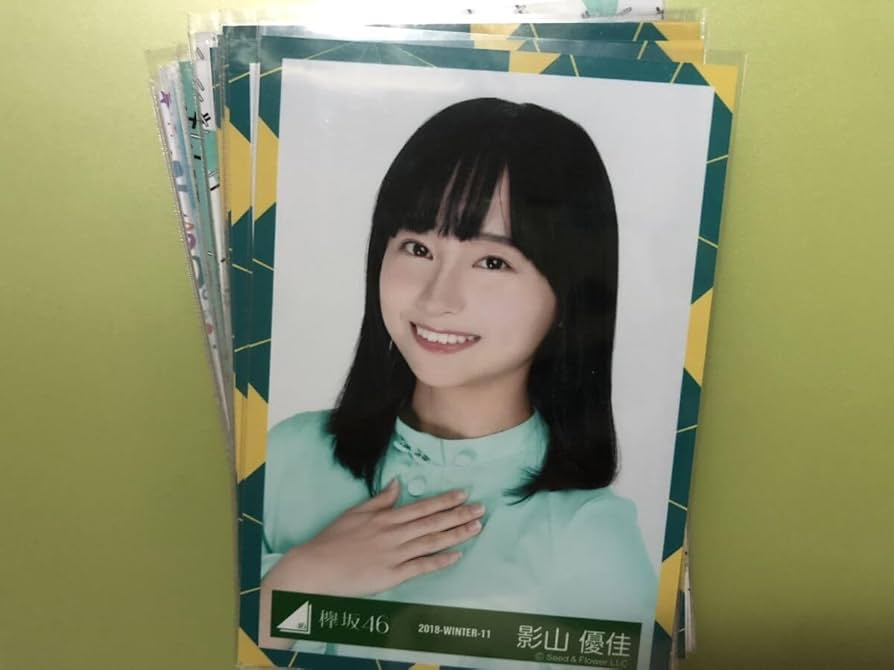 乃木坂 生写真 まとめ売り ファイル 引退品 乃木坂 生写真 まとめ売り ファイル 引退品